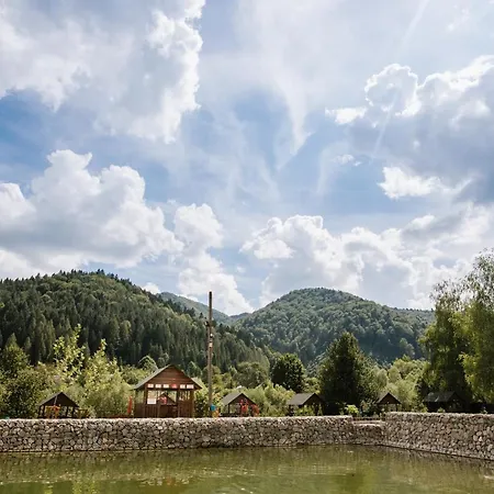 рибничанка 3*