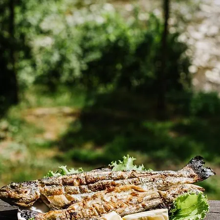 рибничанка