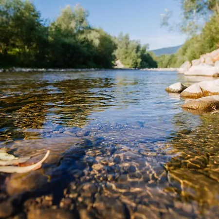 рибничанка