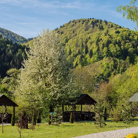 рибничанка Skhidnytsia