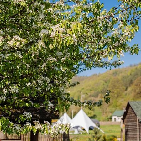 рибничанка Herberg 3*