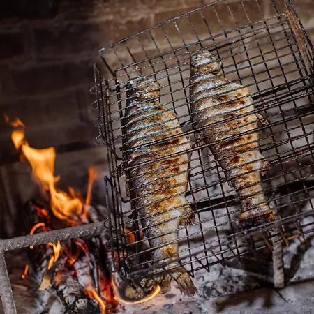 рибничанка Skhidnytsia