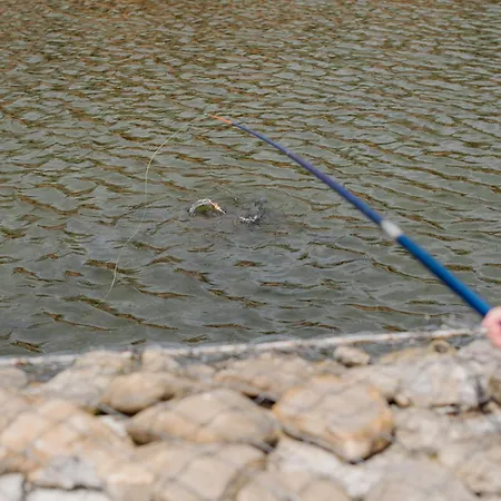 рибничанка Herberg 3*