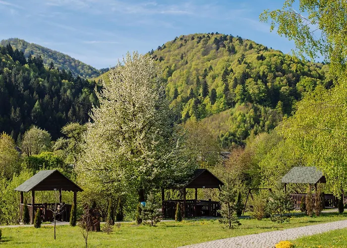 рибничанка Skhidnytsia