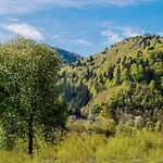 рибничанка