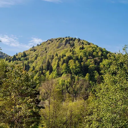 рибничанка Fogadó Skhidnytsia