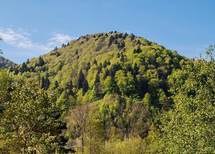 рибничанка 宾馆 Skhidnytsia